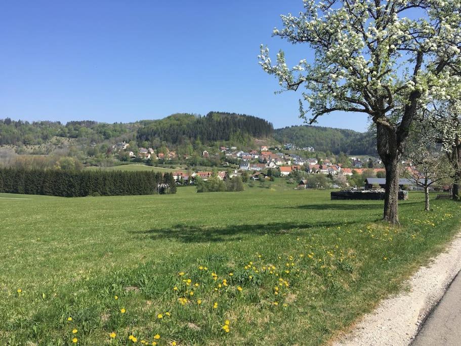 Ferienwohnung Albliebe Messstetten Exterior foto